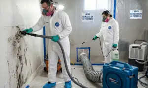 Mold remediation service widget for water damage repair in Denton, TX